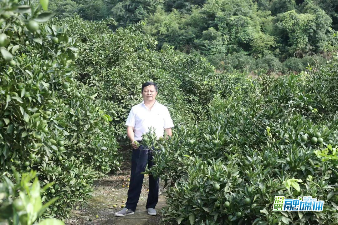 党组织书记风采录⑨丨川山坪镇应南芳：党建引领促发展 真抓实干助振兴