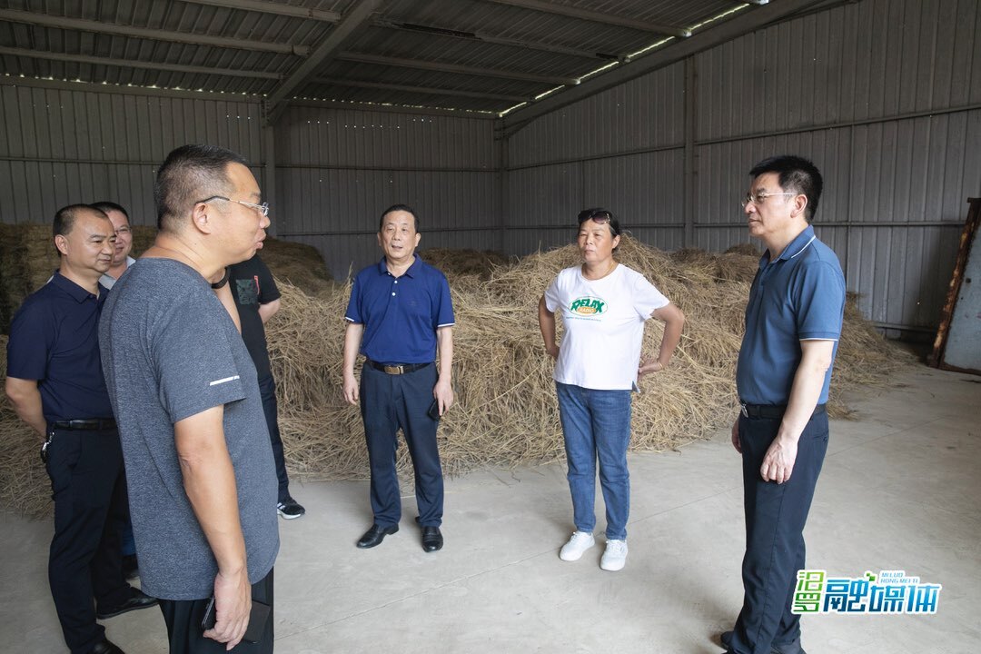 李运帷来汨罗开展秸杆禁烧及综合利用民主监督