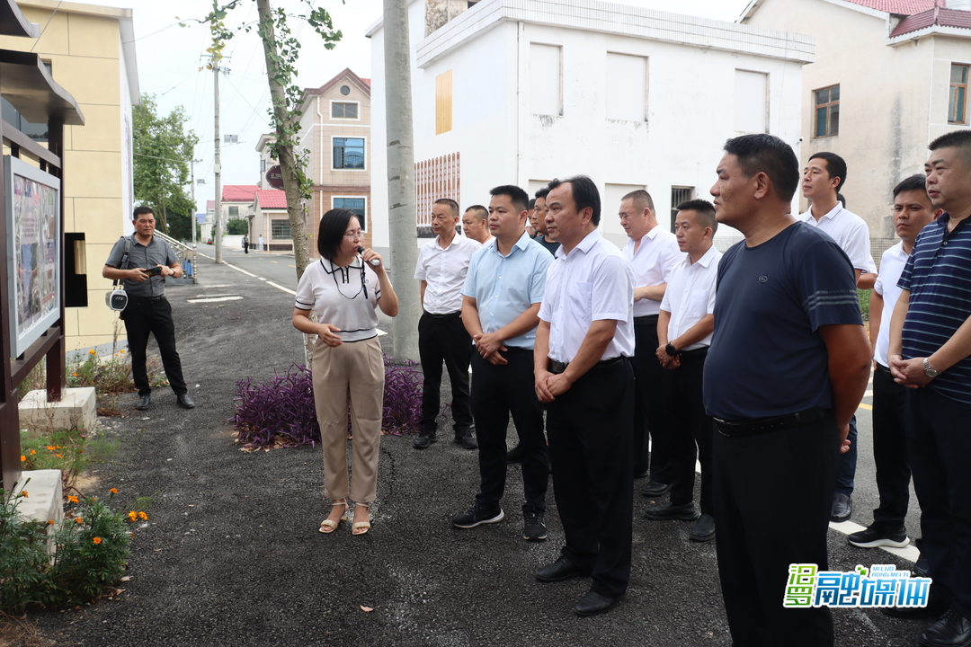 保靖县毛沟镇来汨罗考察学习乡村振兴工作