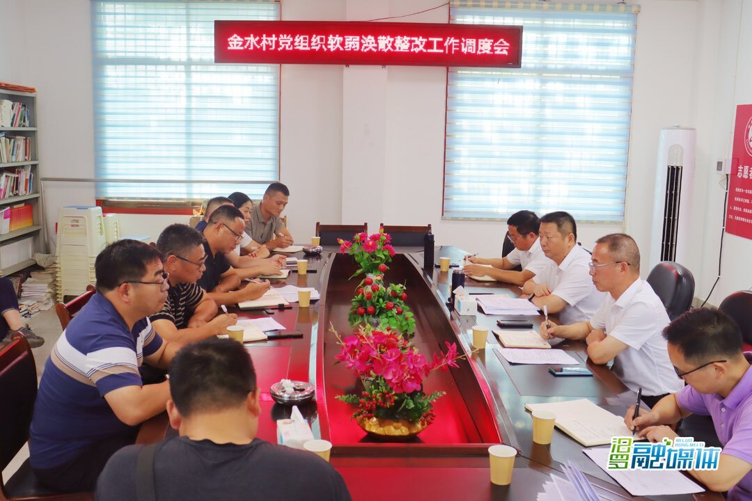 艾志军调度金水村软弱涣散村党组织整顿工作