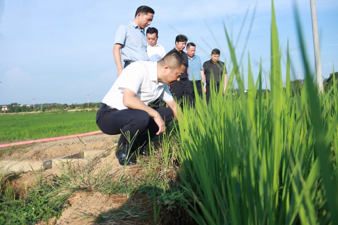 朱平波深入汨罗镇、屈子祠镇调研乡村振兴相关工作