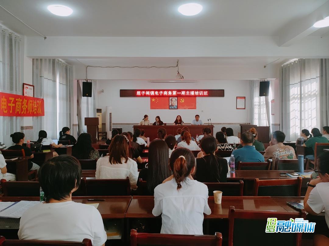 屈子祠镇电子商务第一期主播培训班开班