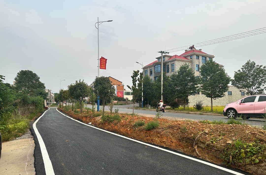 罗江镇汨东村：乡贤出资15万元为村道提质改造