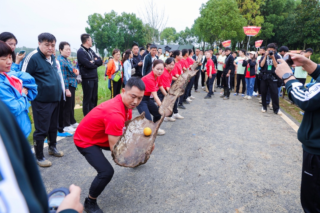 载誉归来 汨罗长乐大垅农民健将斩获全国多项荣誉