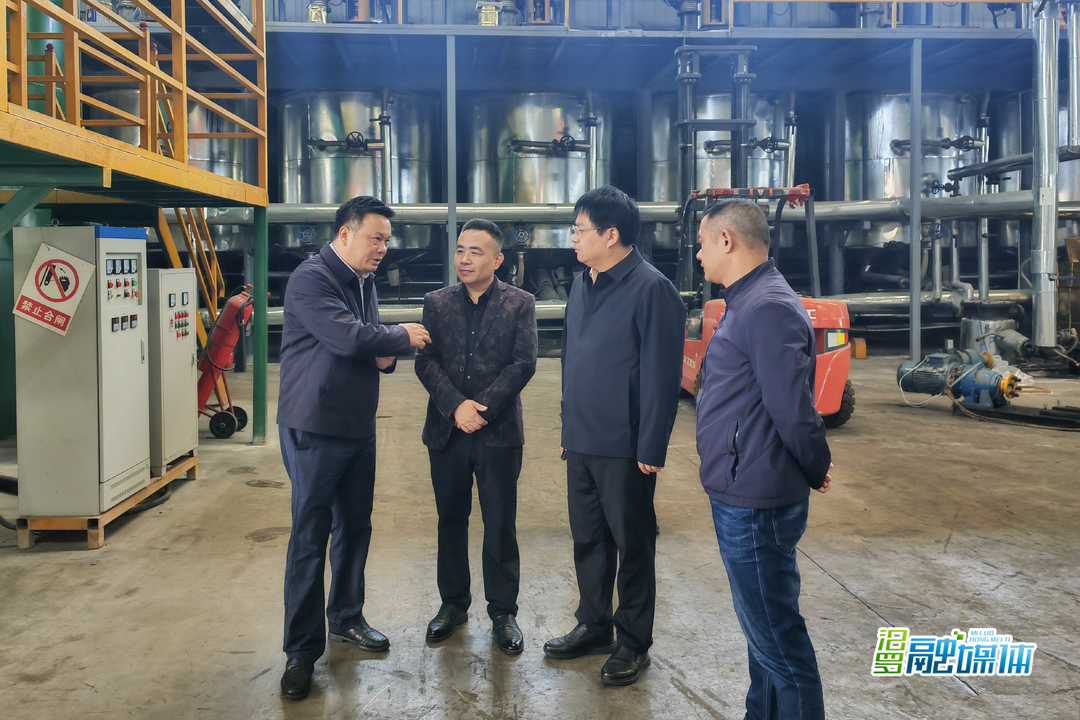 何厚德带队开展高新区涉气工业企业专项检查