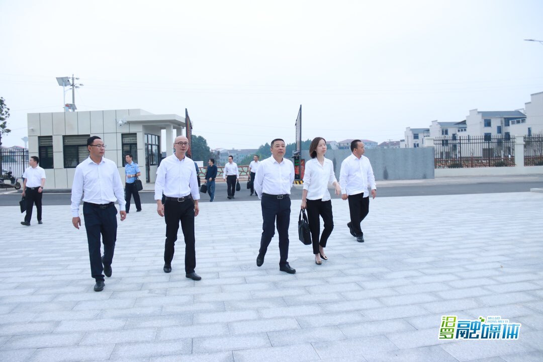 朱平波到大荆镇调研乡村振兴工作