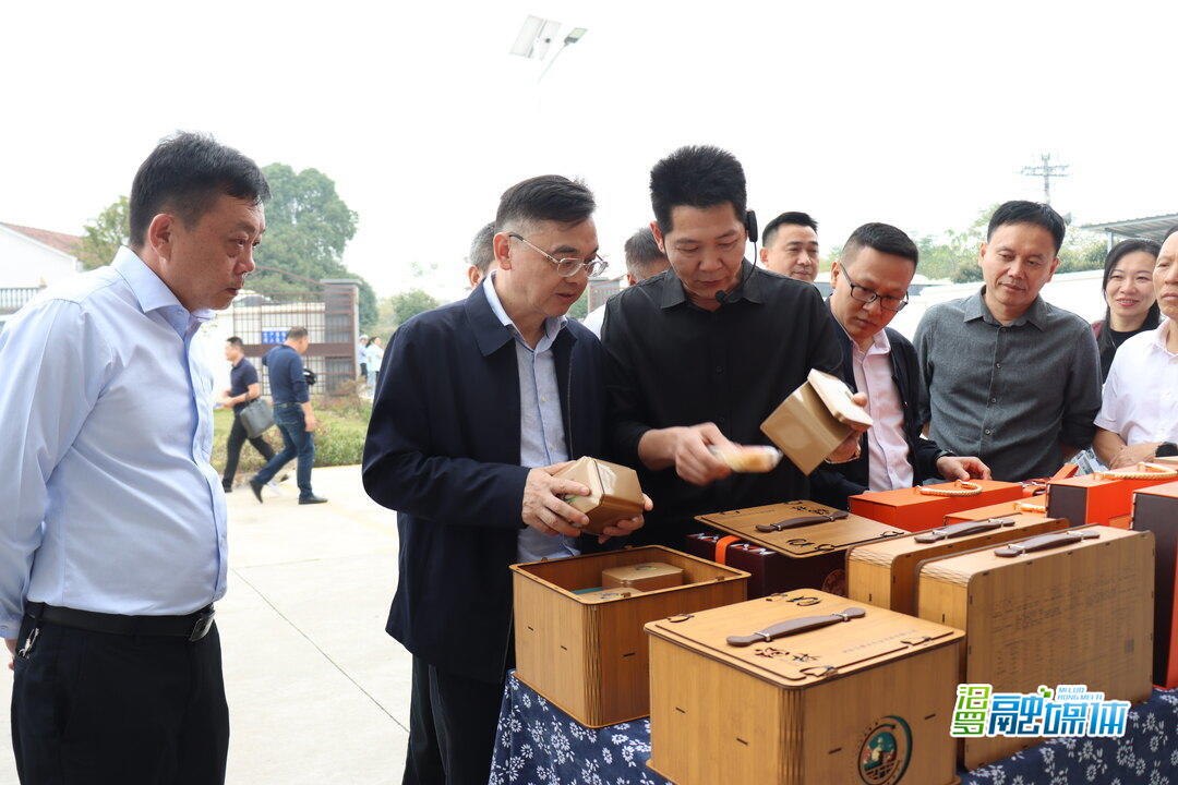 岳阳市人社系统真抓实干督查激励工作推进会暨“引乡友回乡，促家门口就业”现场观摩活动在汨罗举行