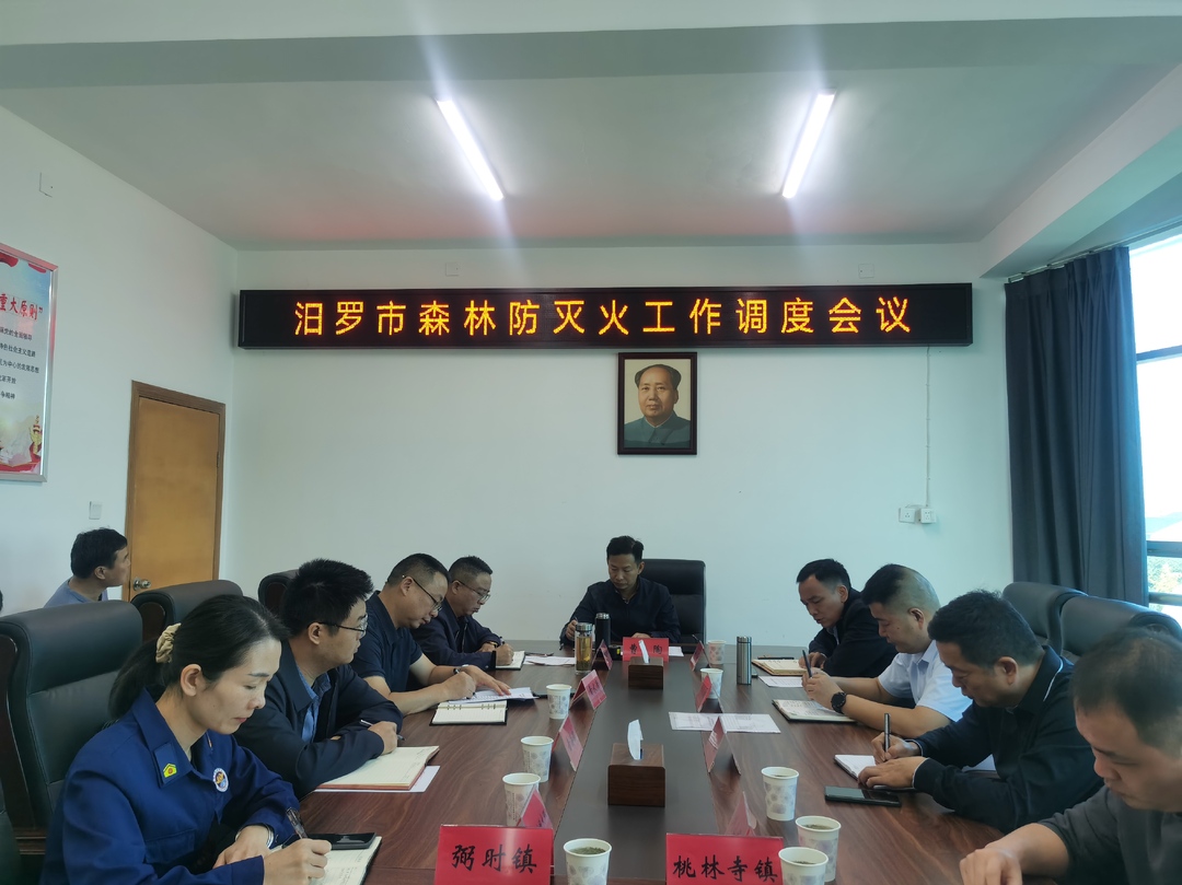 汨罗安排部署当前森林防灭火工作