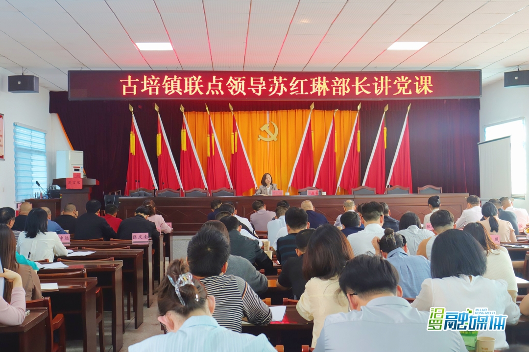 苏红琳到古培镇讲授专题党课