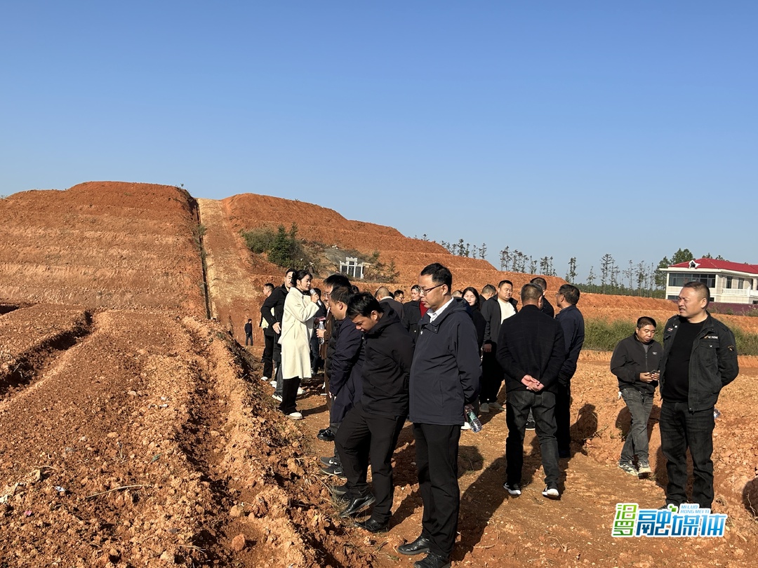 促提升谋发展！大荆镇组织开展集体经济发展观摩学习活动