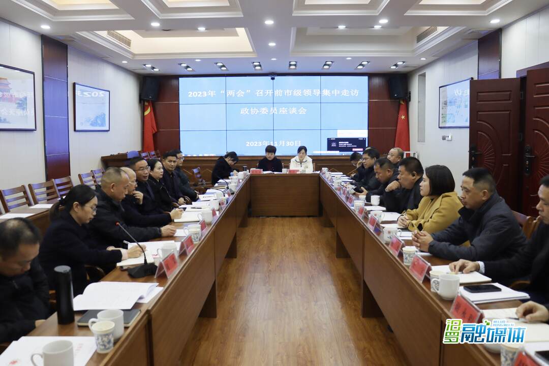 市领导集中走访中共、工会、共青团、妇联、对外友好民族宗教组政协委员