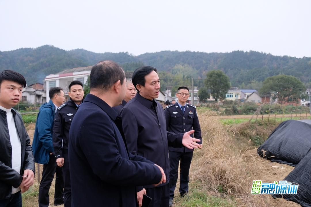 李岳星到三江镇开展巡田巡林工作