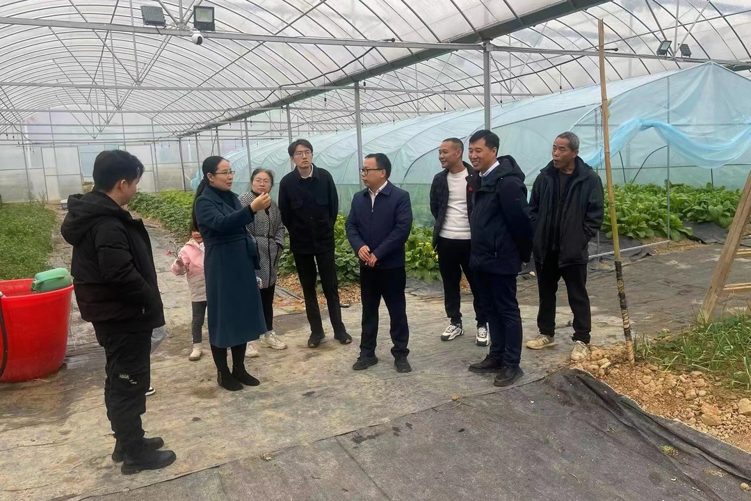 湖南大学经济与贸易学院到川山坪镇调研劳动教育基地建设