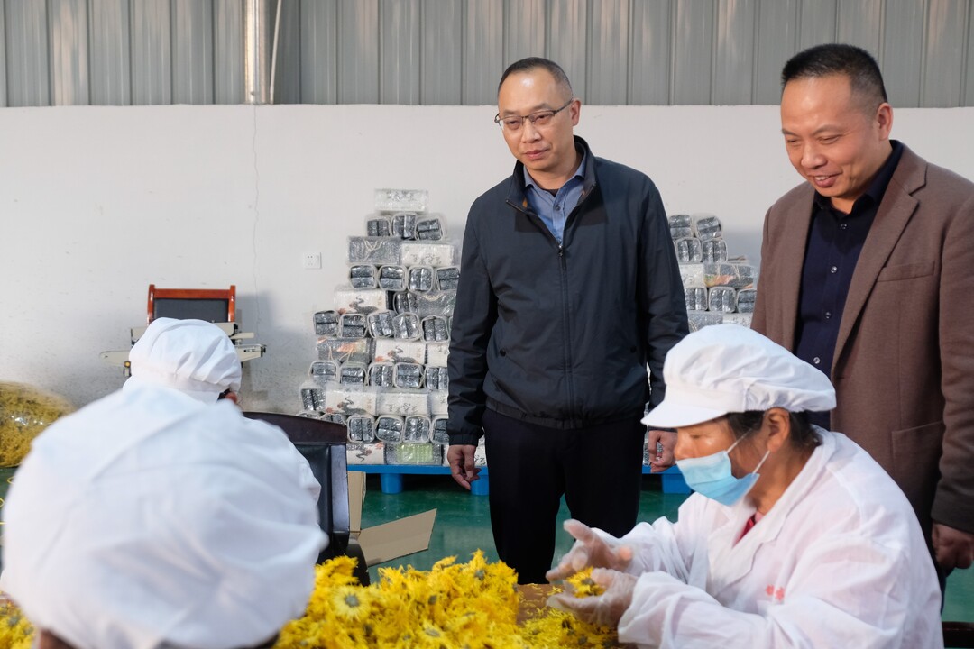 叶罡调研汨罗镇乡村振兴工作