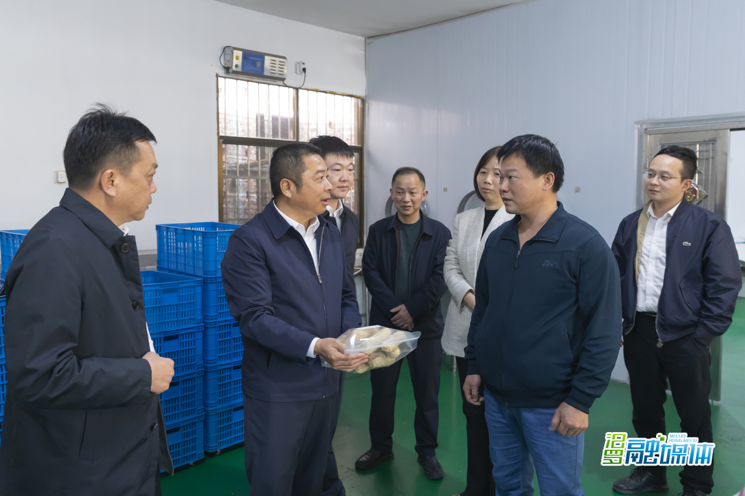 践行“四下基层”宣讲全会精神，朱平波到屈子祠镇桃林寺镇调研