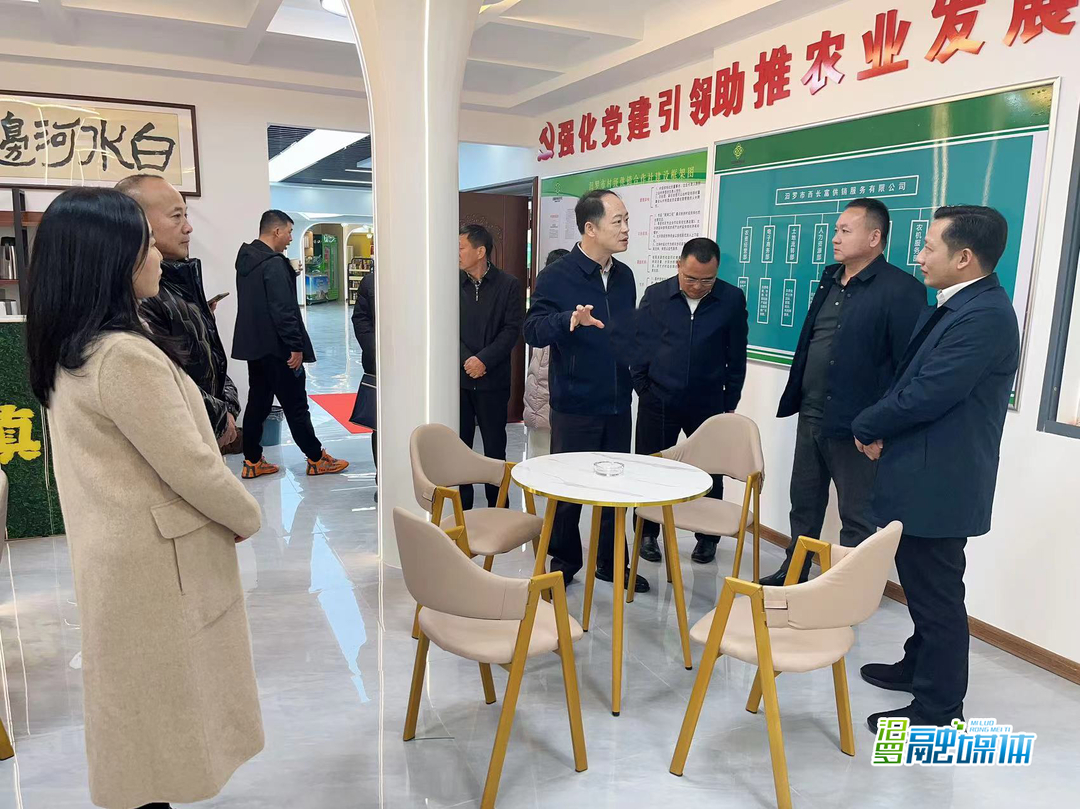 省供销合作总社来汨罗调研