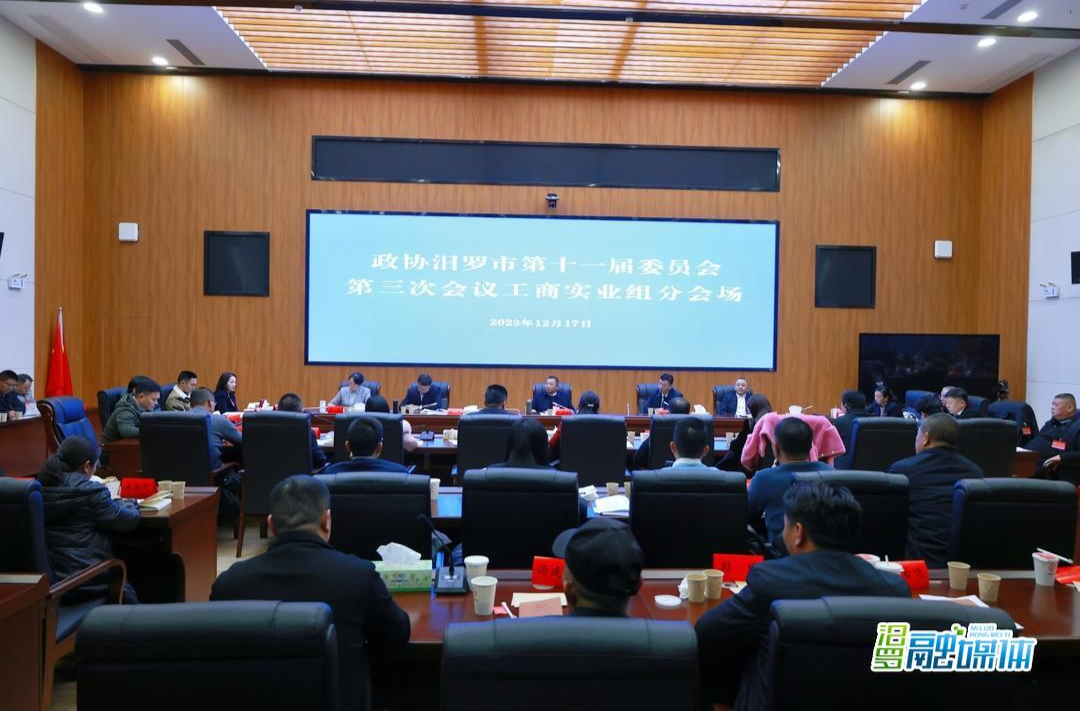 聚焦两会丨政协委员分组协商，为汨罗发展建言献策