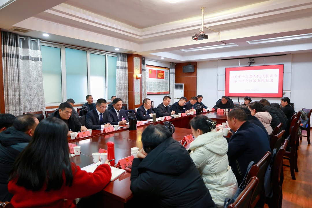 聚焦两会丨人大代表分团讨论政府工作报告，建言献策共谋发展