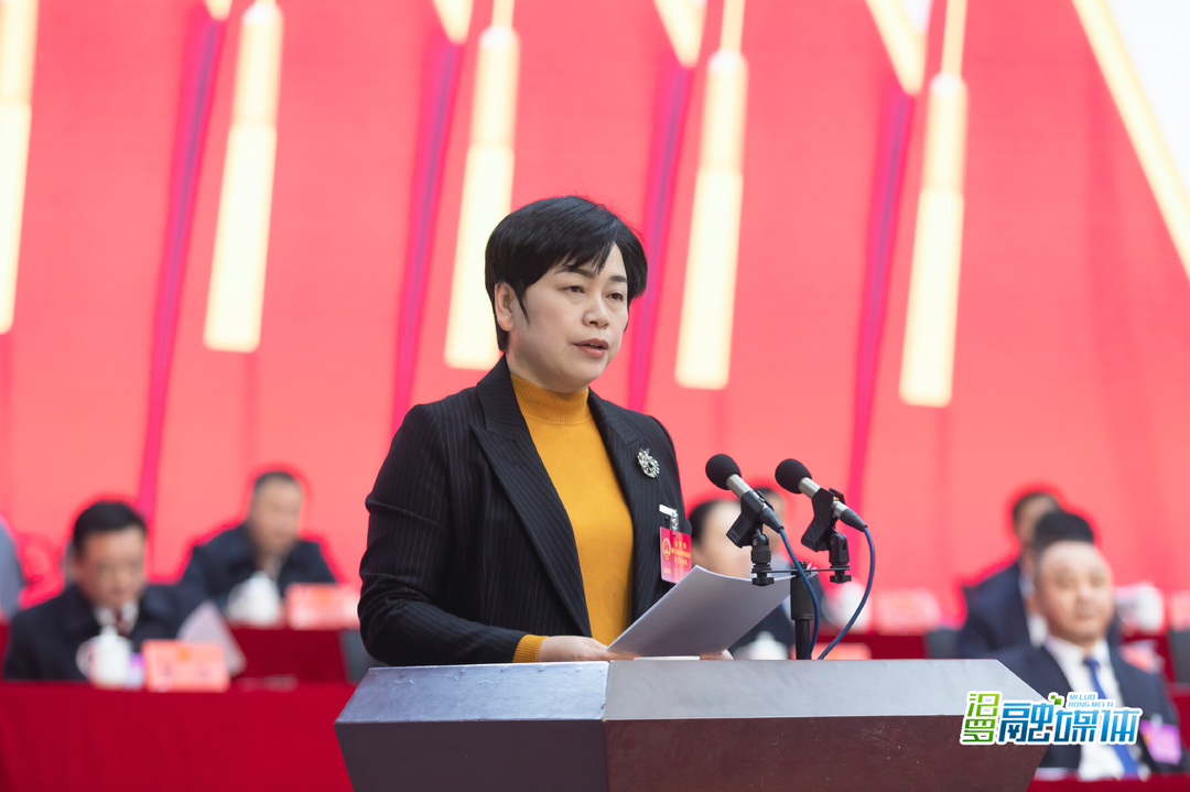 聚焦两会丨王敏求作市人大常委会工作报告