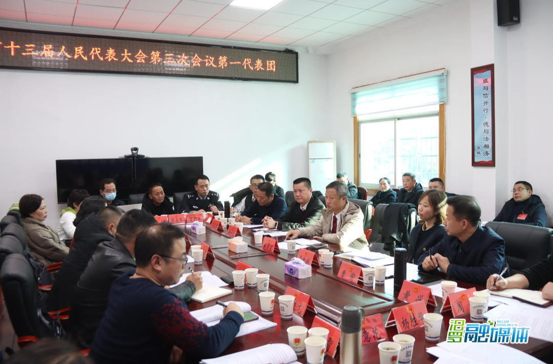 聚焦两会丨人大代表分团审议市人大常委会工作报告和法检“两院”工作报告