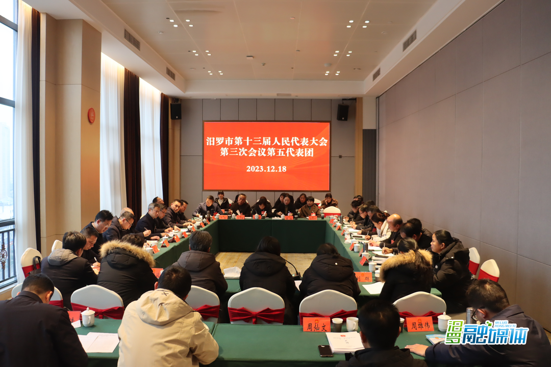  聚焦两会丨林恒求参加人大第五代表团和第九代表团讨论 
