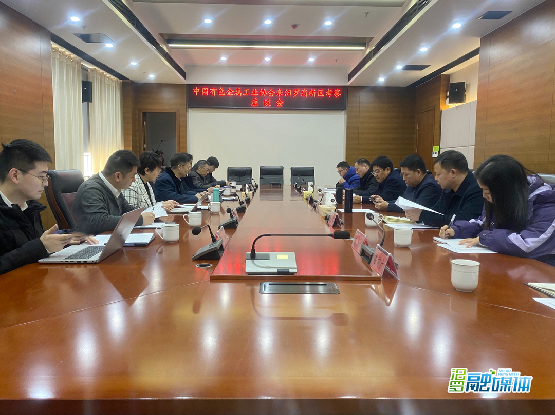 中国有色金属工业协会来到汨罗高新区调研