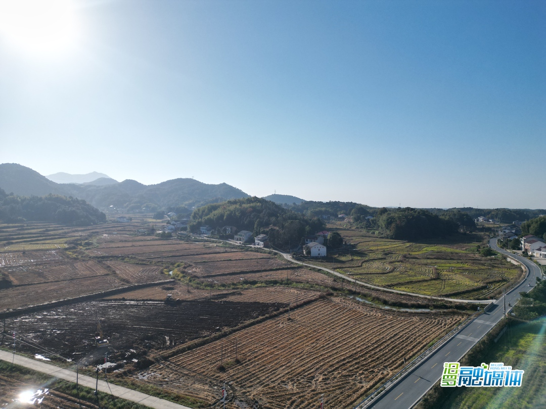 汨罗：三大项目助振兴，新开村里开新局