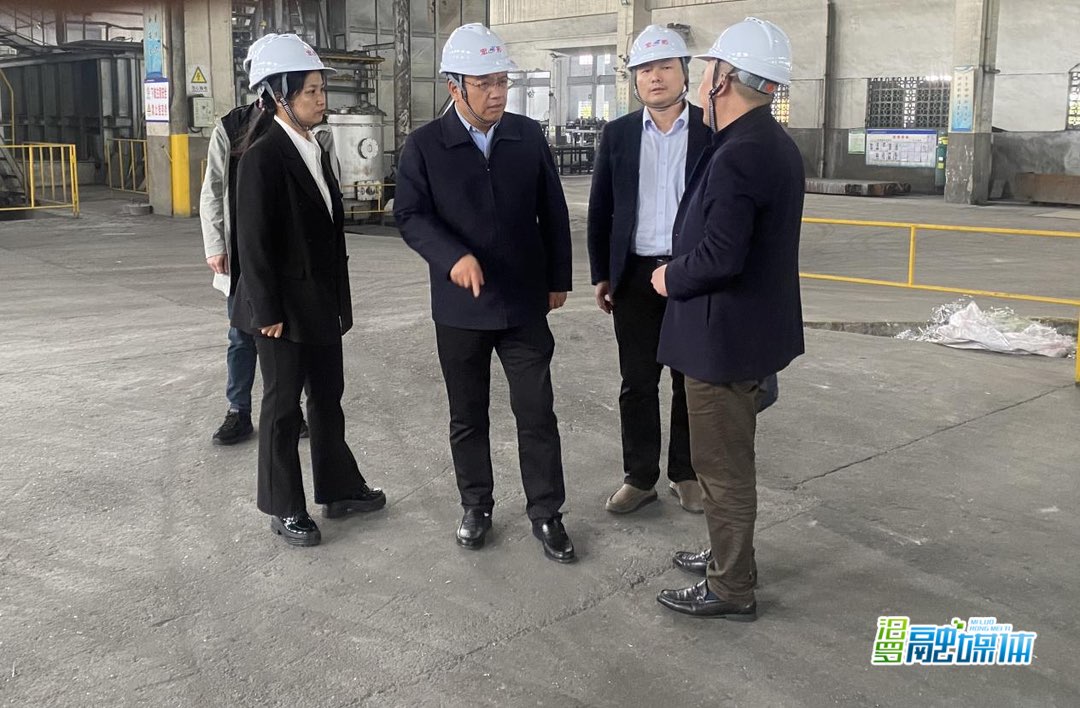 何厚德调研园区再生铝企业