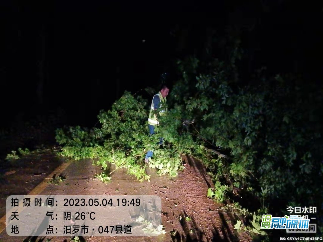 大风来袭，汨罗公路部门紧急行动保畅通