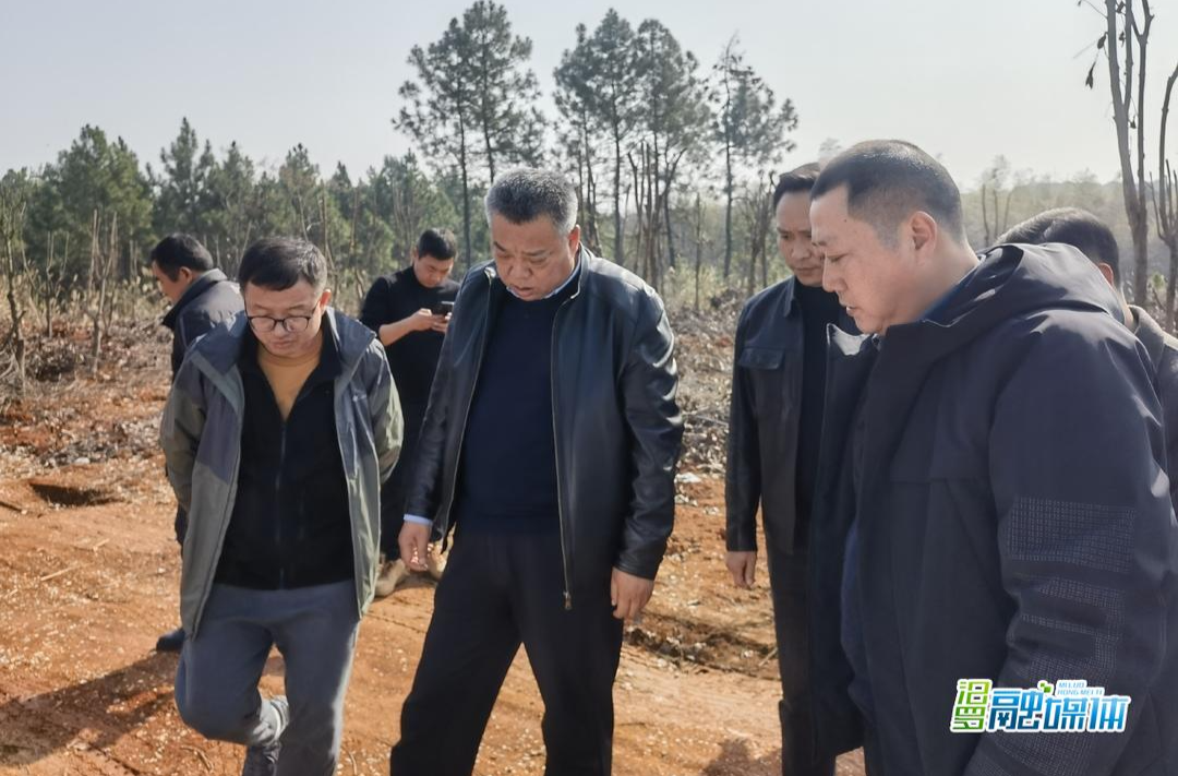 陕煤电力汨罗有限公司董事长刘文军现场调度火电项目