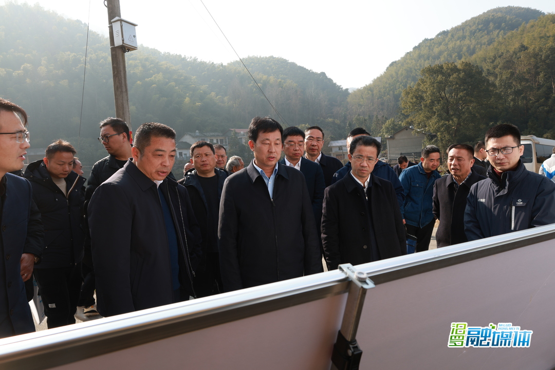 岳阳市委副书记、市长李挚来汨罗调研