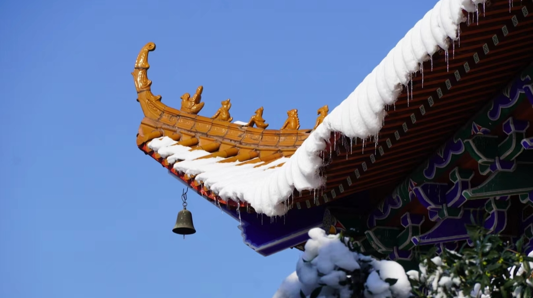 汨罗屈子公园:瑞雪满园，丰年可期