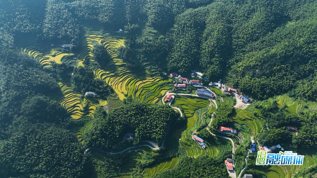 汨罗探索“房田共生”模式 闲置资源变身“共富摇篮”