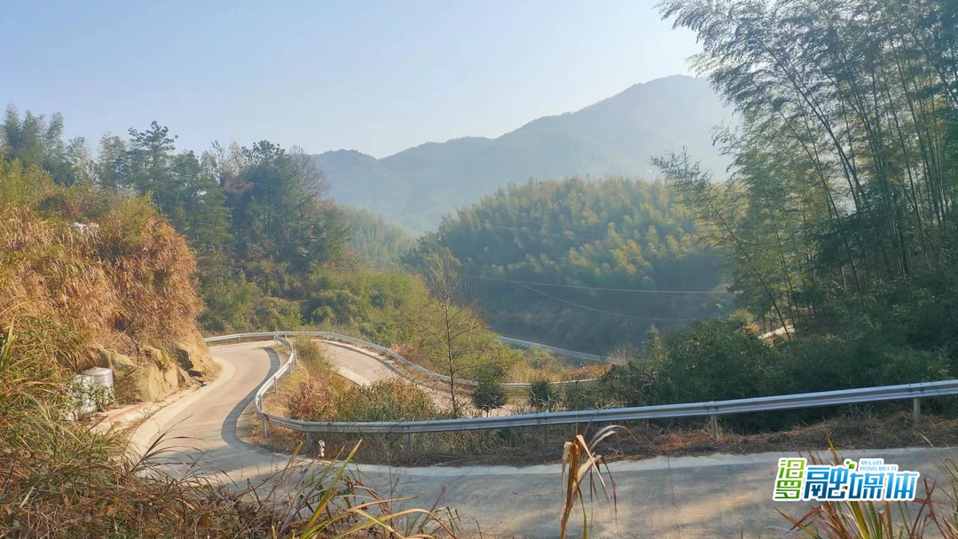 汨罗弼时：修好革命老区产业路，跑出乡村振兴“加速度”