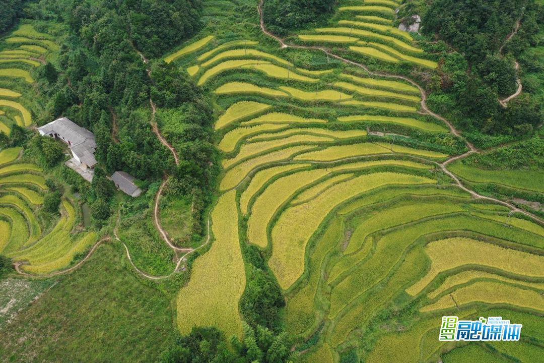 汨罗探索“房田共生”模式 闲置资源变身“共富摇篮”