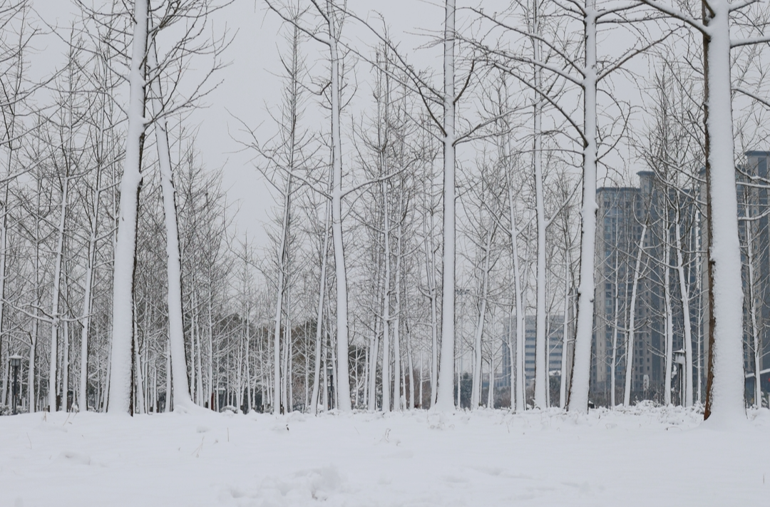 汨罗低温雨雪冰冻维持，6号预计有大到暴雪