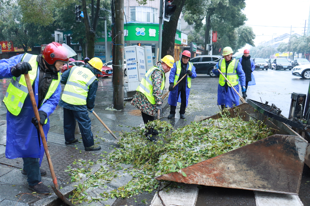 清树障战寒冰，汨罗部门联动守护市民“头顶”和“脚下”安全