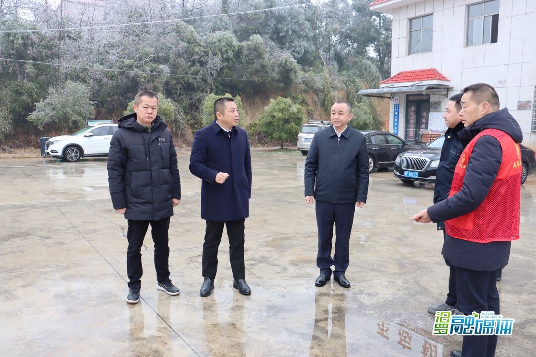 朱平波督查指导乡镇除冰抗灾工作