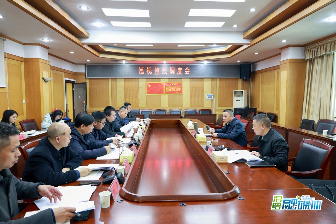 朱平波专题调度巡视整改工作
