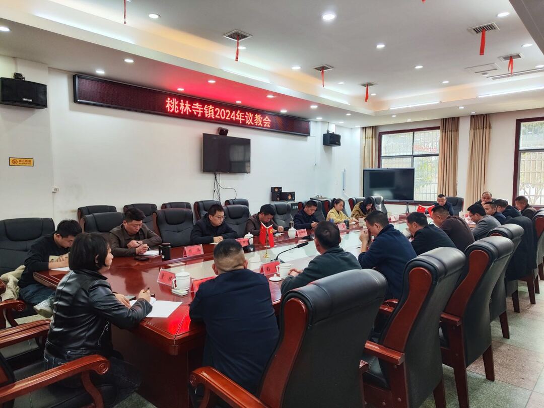 桃林寺镇：召开议教会 推动教育改革走深走实