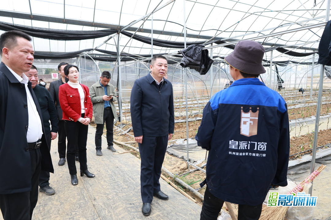 朱平波调研设施农业发展和春耕备耕工作