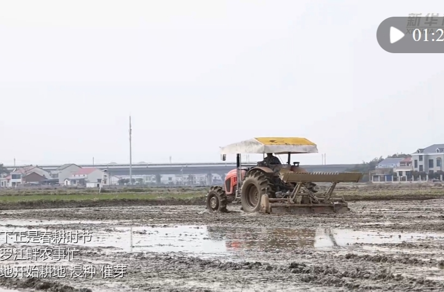 【新华社】抢抓农时 汨罗江畔春耕忙