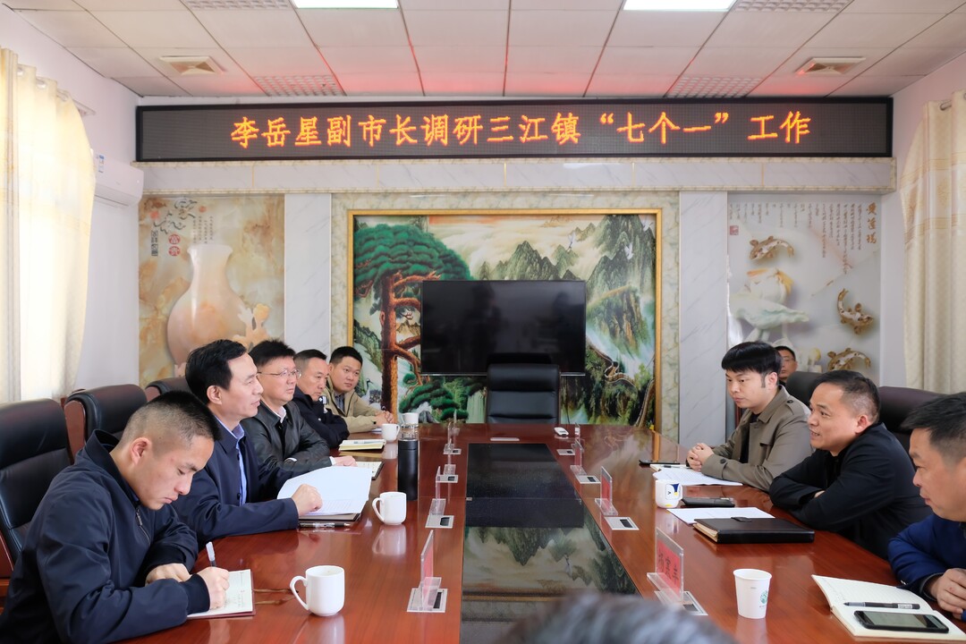 李岳星到三江镇调研乡村振兴工作