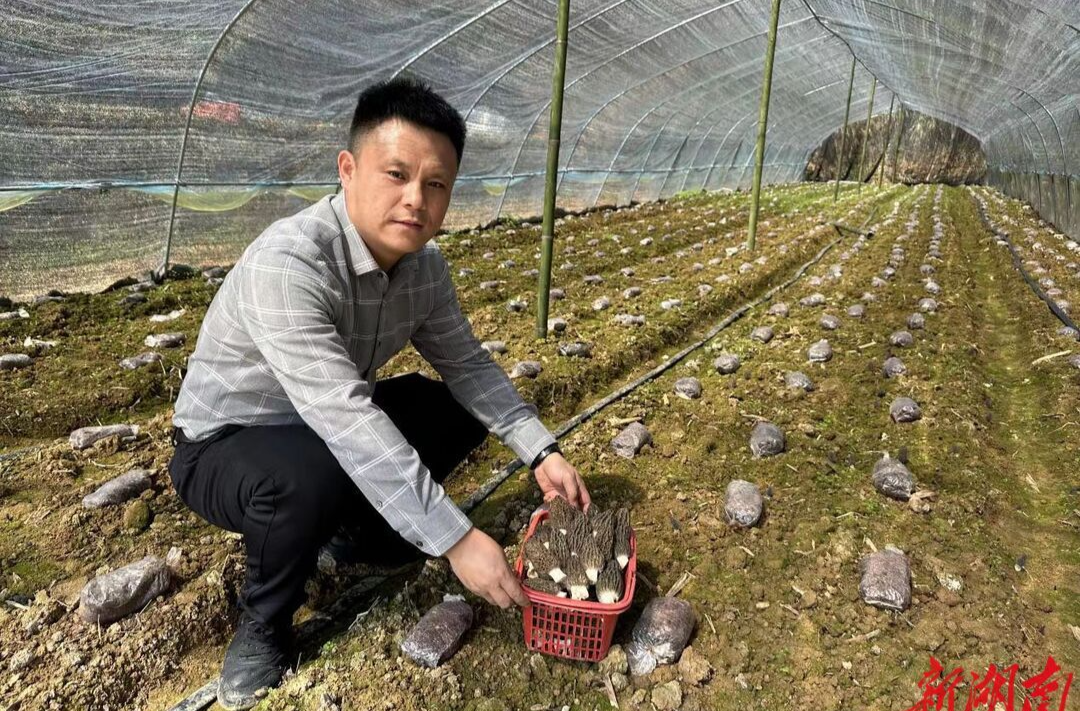 乡村振兴事业路上的“螺丝钉”——记岳阳汨罗市驻保靖县帮扶干部陈敏
