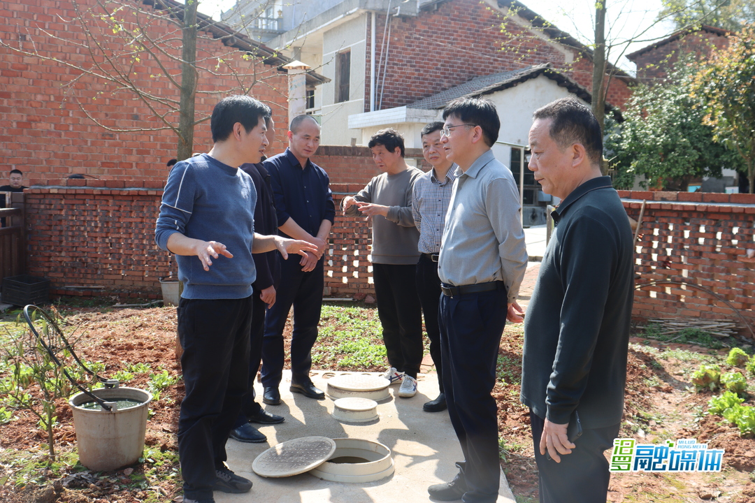 岳阳汨罗三级政协联动 开展农村“厕所革命”专项民主监督