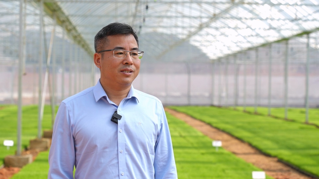 汨罗高产有“良法”，新建集中育秧设施面积居全省第一