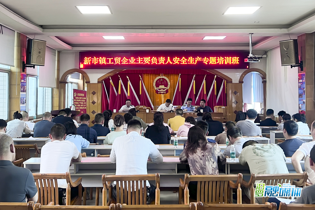 省应急厅专家来新市镇开展工贸企业安全生产专题培训