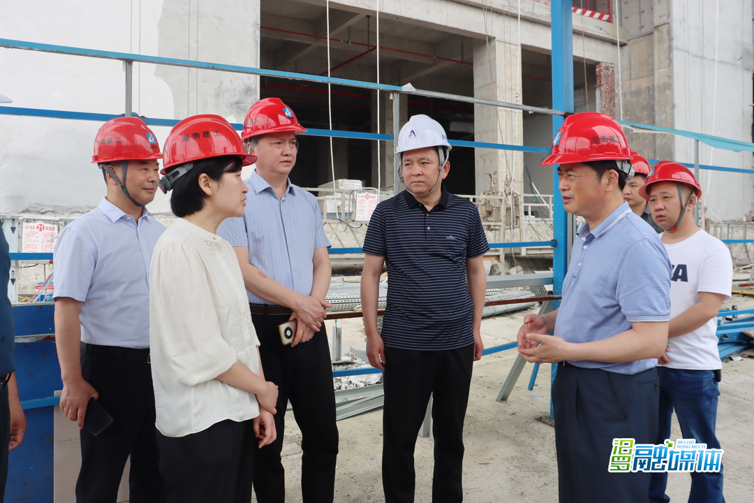 岳阳市人大常委会来汨罗调研中医药“一法一办法”执法检查审议意见整改落实情况