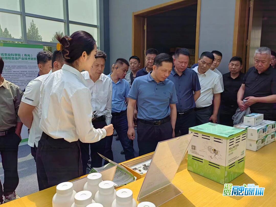 汨罗市钢架育秧大棚高效综合利用技术专题培训班赴山东寿光开展现场教学