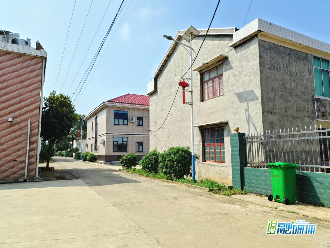 汨罗白塘：年轻人唱主角，共建和美陈戴湾